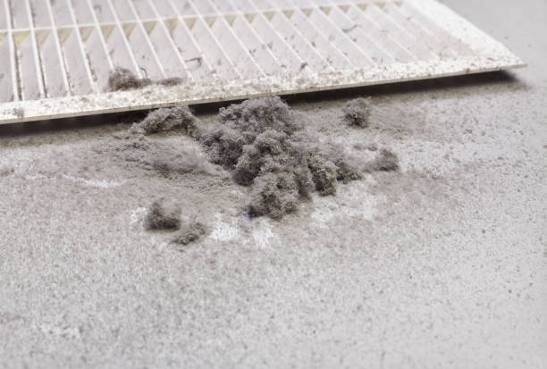 Best Residential Air Duct Cleaning  in Maplewood, MO