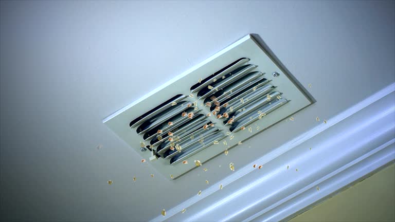 Best Affordable Air Duct Cleaning  in Maplewood, MO
